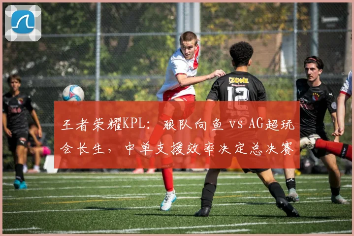 王者荣耀KPL:狼队向鱼 vs AG超玩会长生,中单支援效率决定总决赛走向